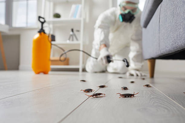 Commercial Kitchen Cockroach Control in Watchung